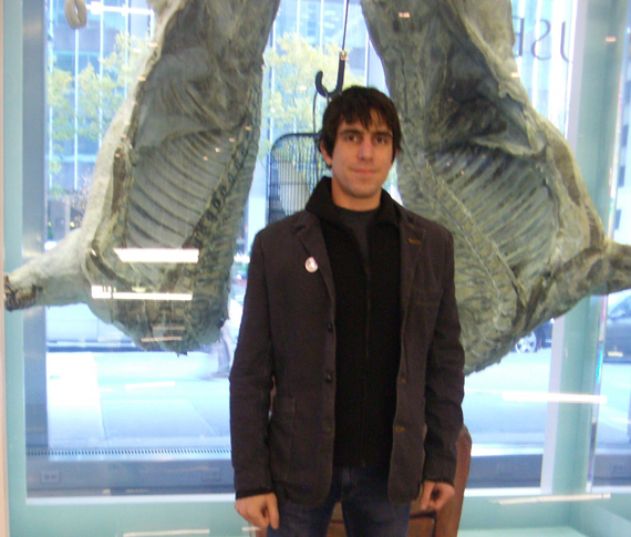 Me & Hirst carcass
